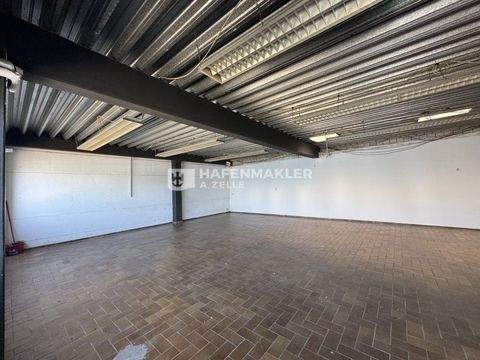 Hamburg Halle, Hamburg Hallenfläche