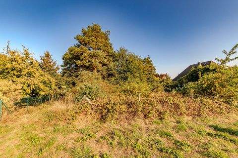 Bergen (Dumme) Grundstücke, Bergen (Dumme) Grundstück kaufen