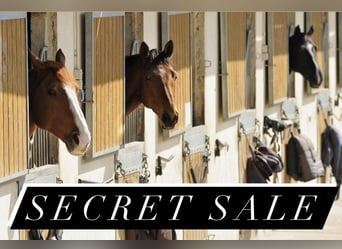 Heilbronn , Neckar Gastronomie, Pacht, Gaststätten