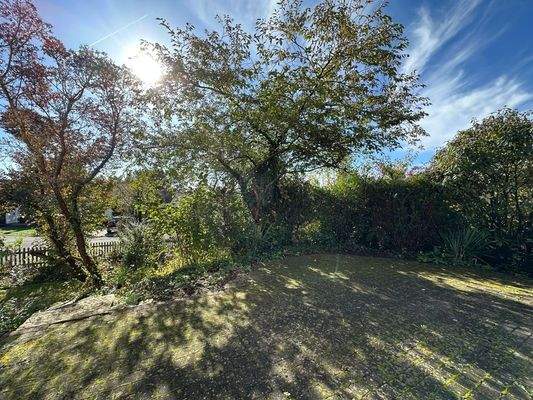 großzügige Terrasse 