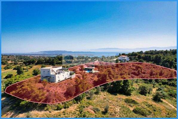 66a18f59beaf4324ab897c41414cc7cf-original