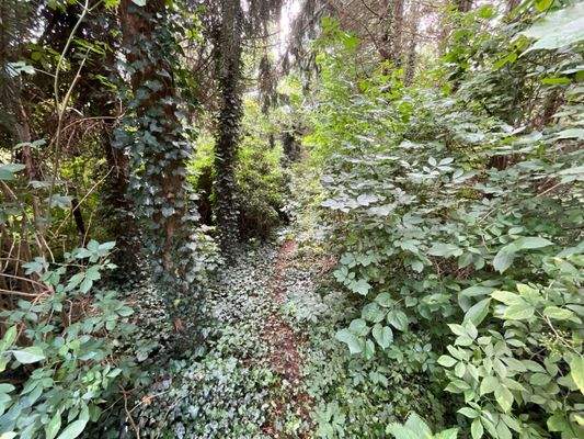 Südwestliche Grundstücksspitze