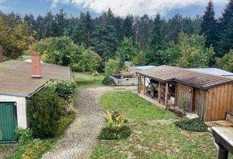 Blick aufs Grundstück