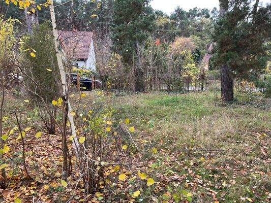 Blick zur Straße "Am Kurpark"