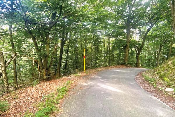 Zuwegung Bergfelder Weg