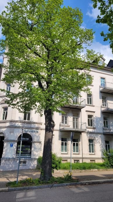 1 Raum Wohnung mit Balkon. Behinderten gerecht!