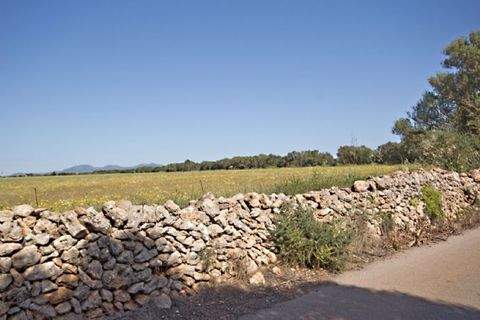 Campos Grundstücke, Campos Grundstück kaufen