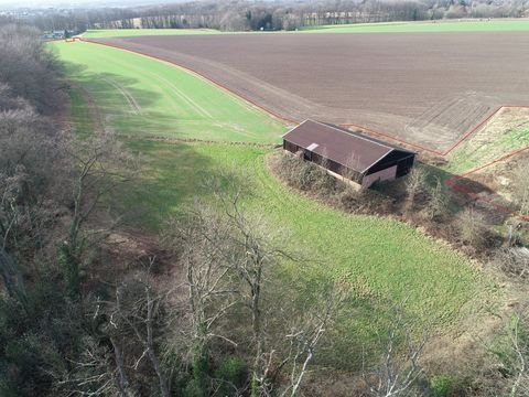 Ratingen Bauernhöfe, Landwirtschaft, Ratingen Forstwirtschaft