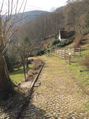 Bestandsfoto Zufahrt zur ehemaligen Freilichtbühne
