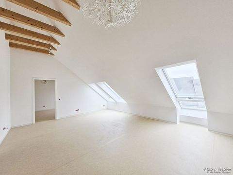 Stein Wohnungen, Stein Wohnung mieten