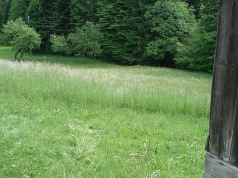 Ribnica na Pohorju Grundstücke, Ribnica na Pohorju Grundstück kaufen