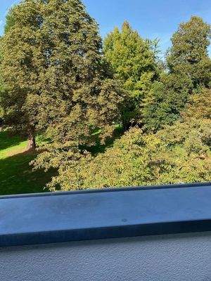 Blick vom Balkon in den Park