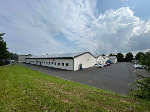 Much Halle, Much Hallenfläche