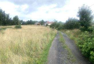 20230806_084848311_iOS