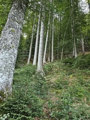20230912_095018 (Copy)