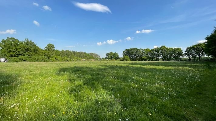 Wiese vor dem Haus