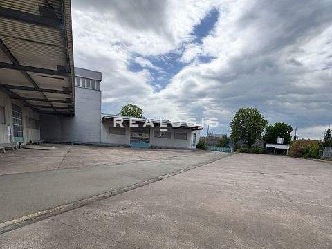 Nordhausen Halle, Nordhausen Hallenfläche