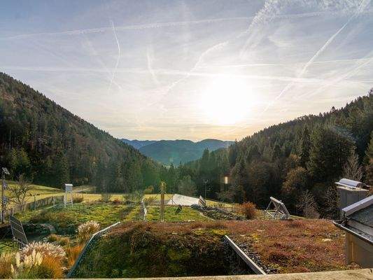 Balkonaussicht (Ansicht 1)