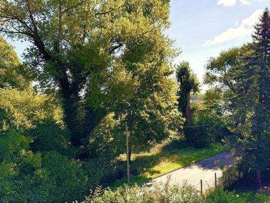 Ausblick Obergeschosswohnung