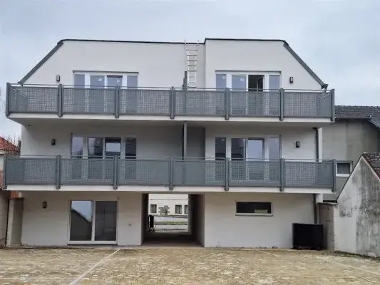 20251110_114347 (Medium).jpg