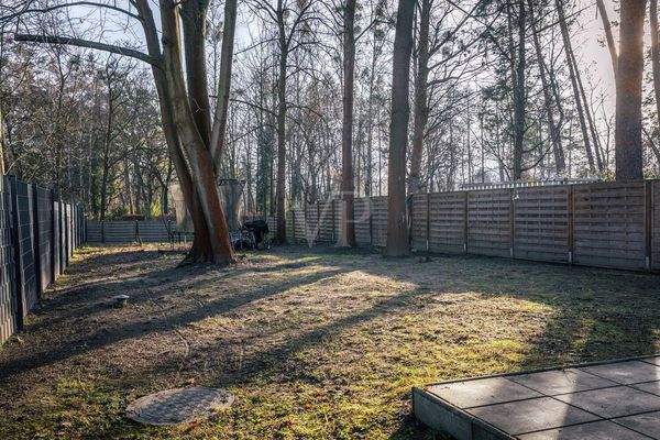 Großzügiger Garten