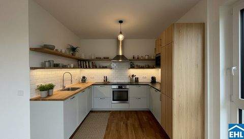 Wiener Neustadt Wohnungen, Wiener Neustadt Wohnung kaufen