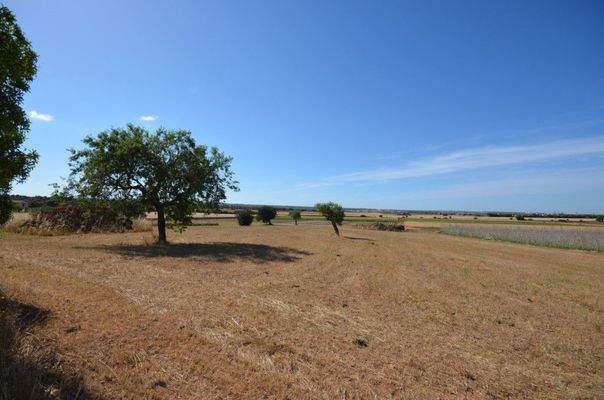 Traditioneller Landsitz zum Verkauf nahe Palma de Mallorca
