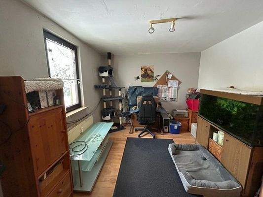 WhatsApp Image 2026-01-12 at 12.36.24 (1)