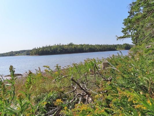 Cape Breton - Cleveland - Wunderschönes See-Ufer-G