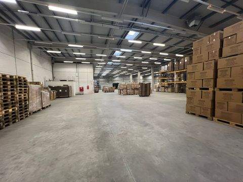 Magdeburg Halle, Magdeburg Hallenfläche