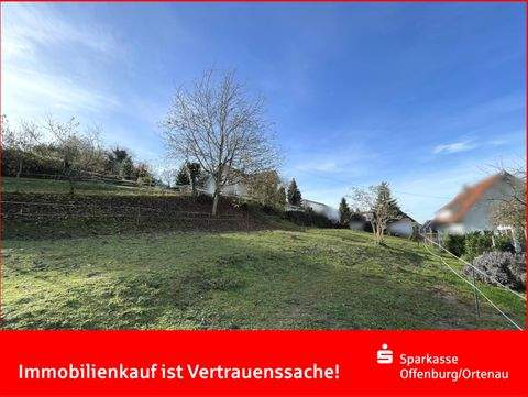 Hohberg Grundstücke, Hohberg Grundstück kaufen