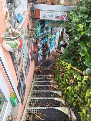 Ansicht Zugang Garten