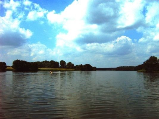 Blick auf den Vielitzsee - Bild 2
