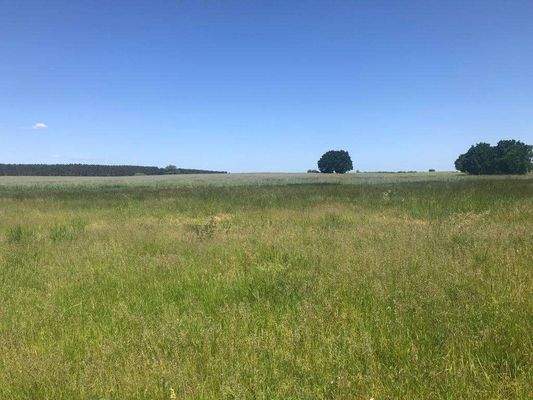 Blick über die Felder