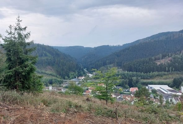talblick.jpg