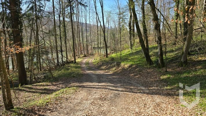 Weg zum Steyr Fluss