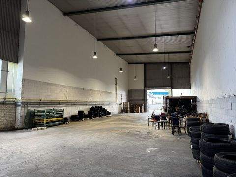 March Halle, March Hallenfläche