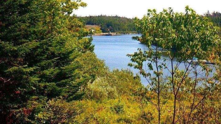 Zum Entspannen - Ausblick