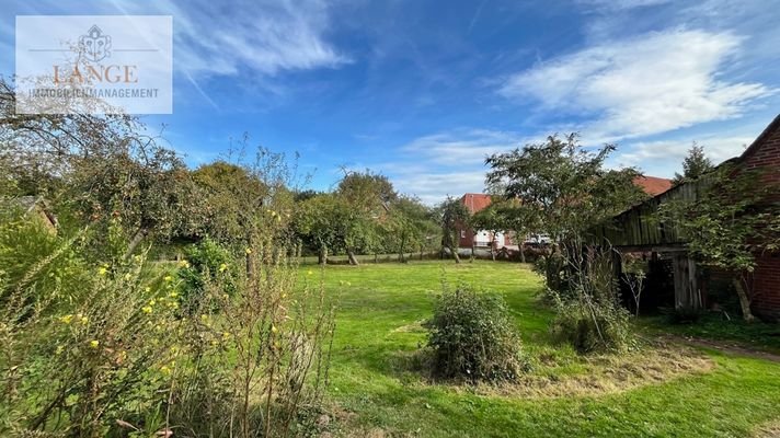 Garten hinten 