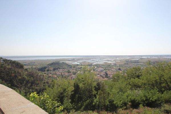 IMG_2242 (Kopie).JPG