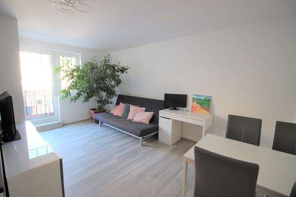 Wohnzimmer (Couch klappbar für 2 Personen - 140 x 200)