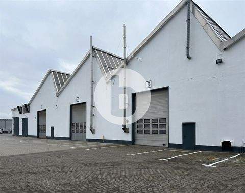 Reinbek Halle, Reinbek Hallenfläche