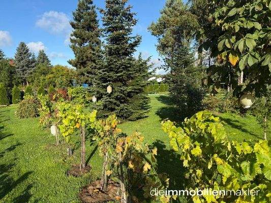 Gartenimpression Bäume