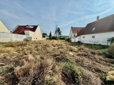 Mutterstadt Grundstücke, Mutterstadt Grundstück kaufen