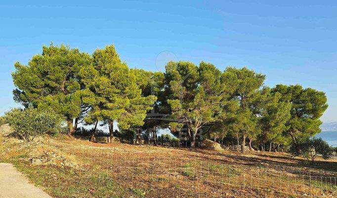 Nur 250 m vom Meer entfernt