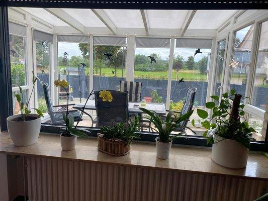 EG Winterterasse Blick ins Grüne