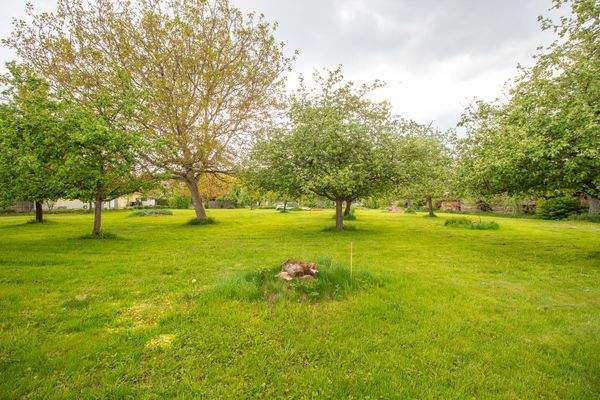 250511_Grundstück Königseggwald-10