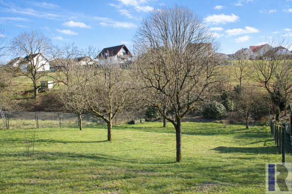 Blick zum Garten