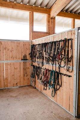 Putz- und Sattelbereich_1