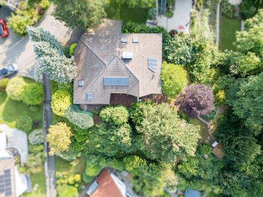 Grundstück mit 1541 m² Fläche